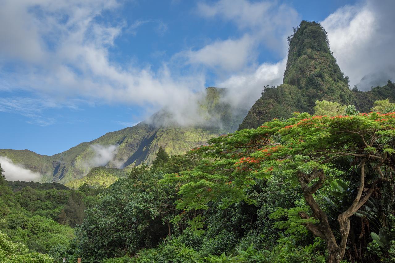 Central Maui Hostel Wailuku Εξωτερικό φωτογραφία